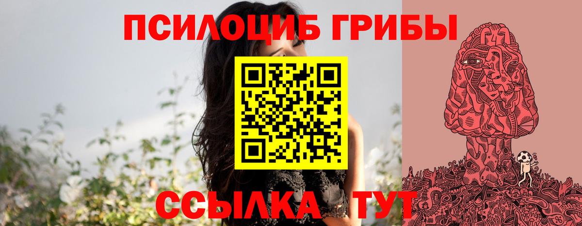 купить закладку  Псилоцибиновые грибы Psilocybe  Вход с VPN  Красноармейск  Галлюциногенные грибы ЛСД 